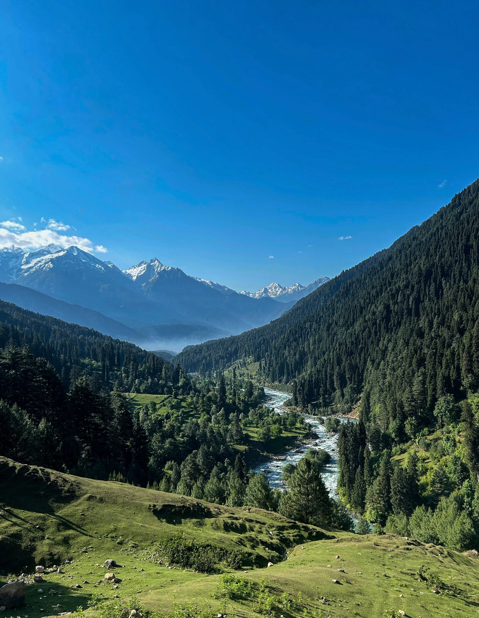 Family Kashmir Holiday